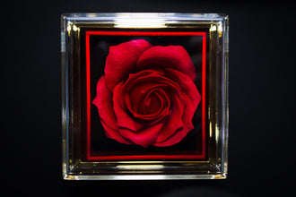 Eternal rose box
