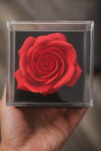 Eternal Rose Heart Pendant Gift Set