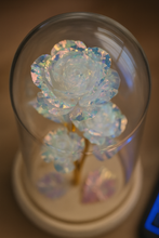 Eternal Aurora Rose Dome